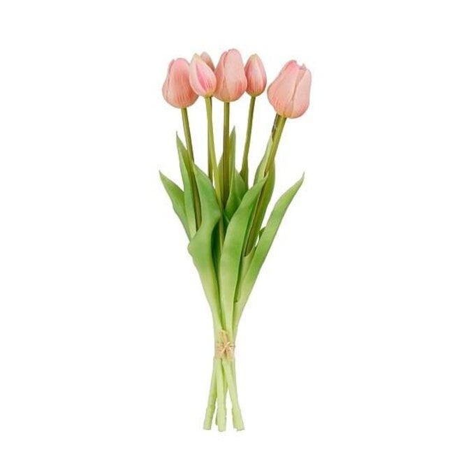 Spomladanski šopek tulipanov — pogled 2