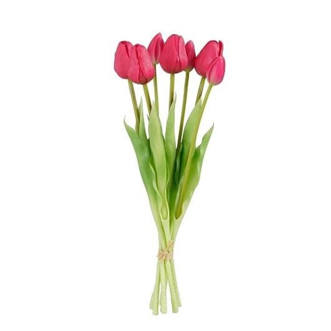 Spomladanski šopek tulipanov — pogled 3