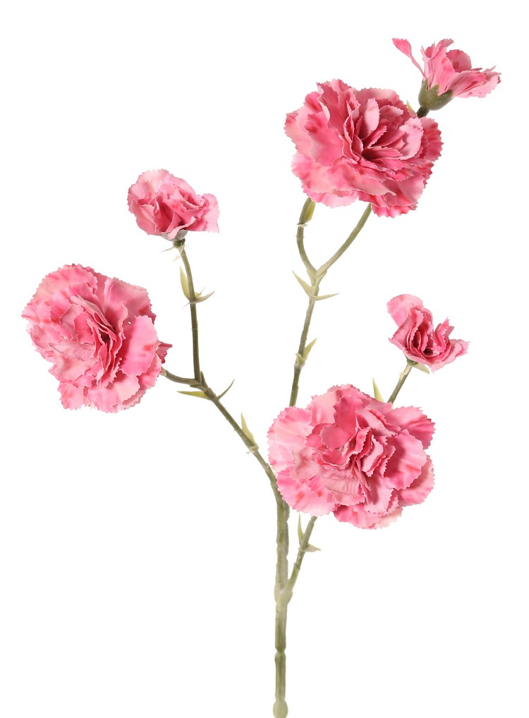 Nagelj (Dianthus) – real touch, 56 cm, trojno razvejan