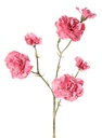 Nagelj (Dianthus) – real touch, 56 cm, trojno razvejan