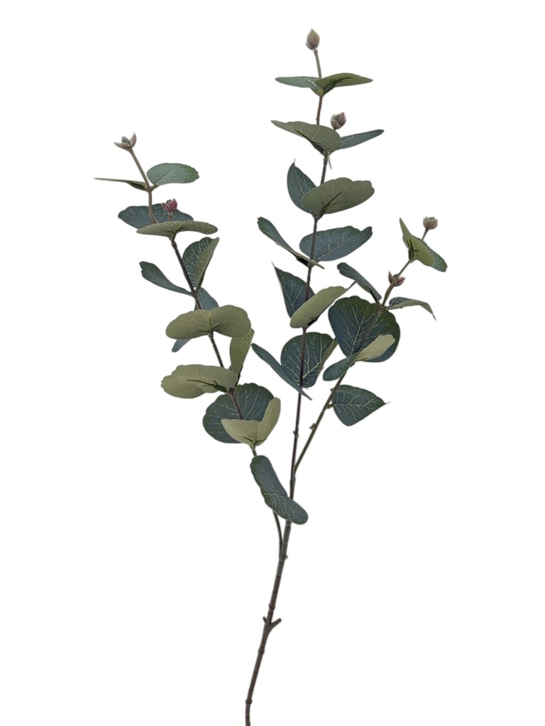 Evkaliptusova veja — umetno zelenje, 70 cm