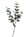 Evkaliptusova veja — umetno zelenje, 70 cm