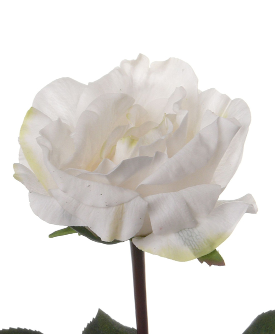 Vrtnica Colin – real touch, 35 cm