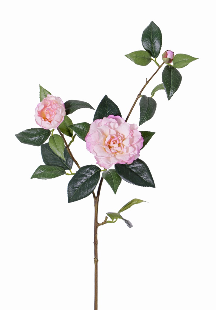 Kamelija De Luxe Rosa – real touch, 86 cm