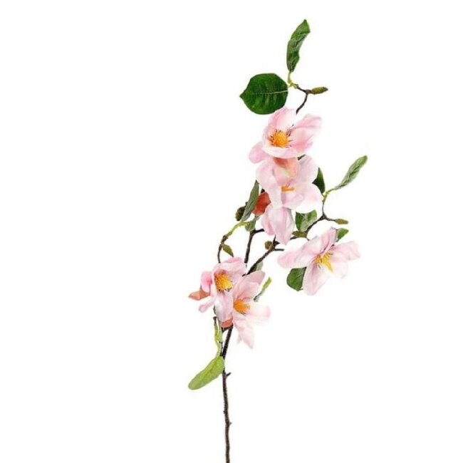 Magnolija Aurora – svetlo roza, 94 cm