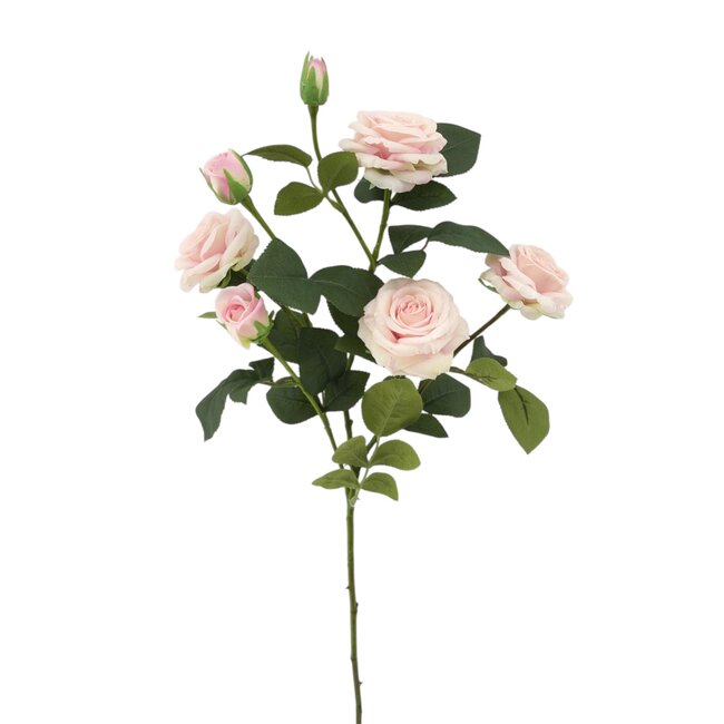 Mini vrtnica Rozalija – spray, svetlo roza, 70 cm