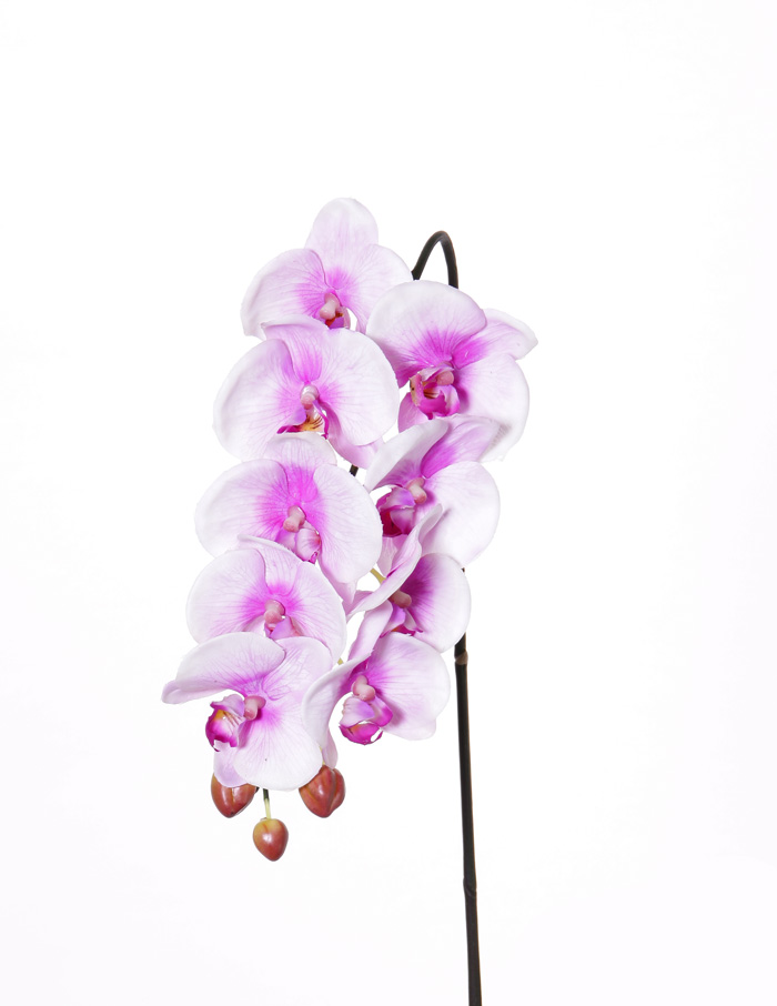 Orhideja Phalaenopsis – real touch, 43 cm, 9 cvetov