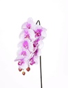 Orhideja Phalaenopsis – real touch, 43 cm, 9 cvetov